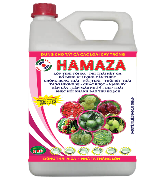 Can HamaZa 5 lit