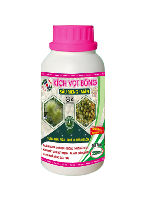 Kich Vot Bong