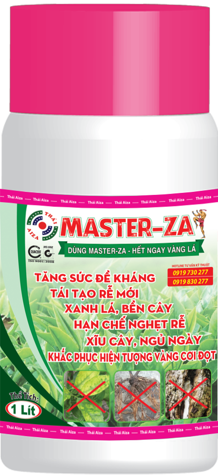 Master-za 1 lit