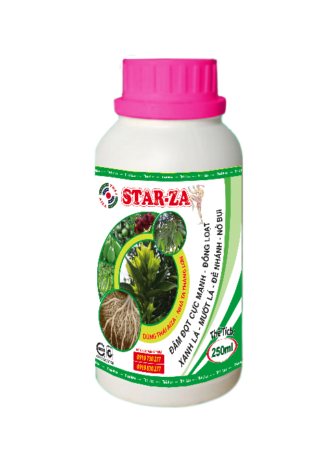 Star-za