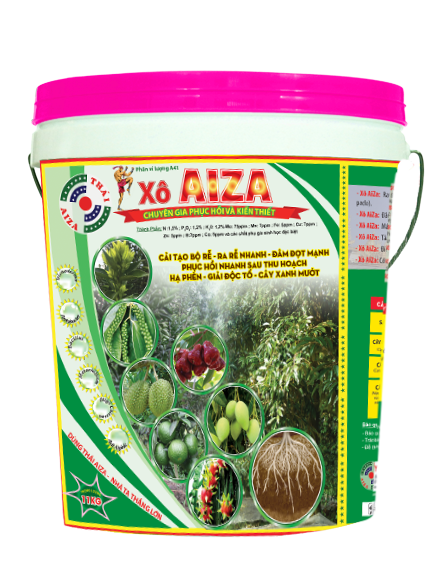 Xo Aiza