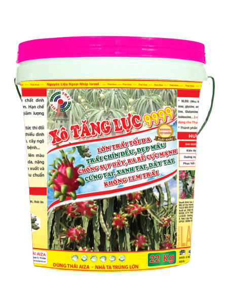 Xo Tang Luc 9999
